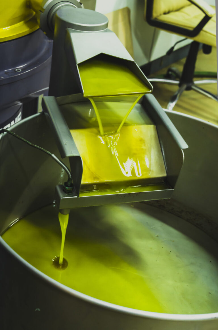 Décanteur d'huile d'olive selon le procédé industriel d'extraction - article par Le Garrec.